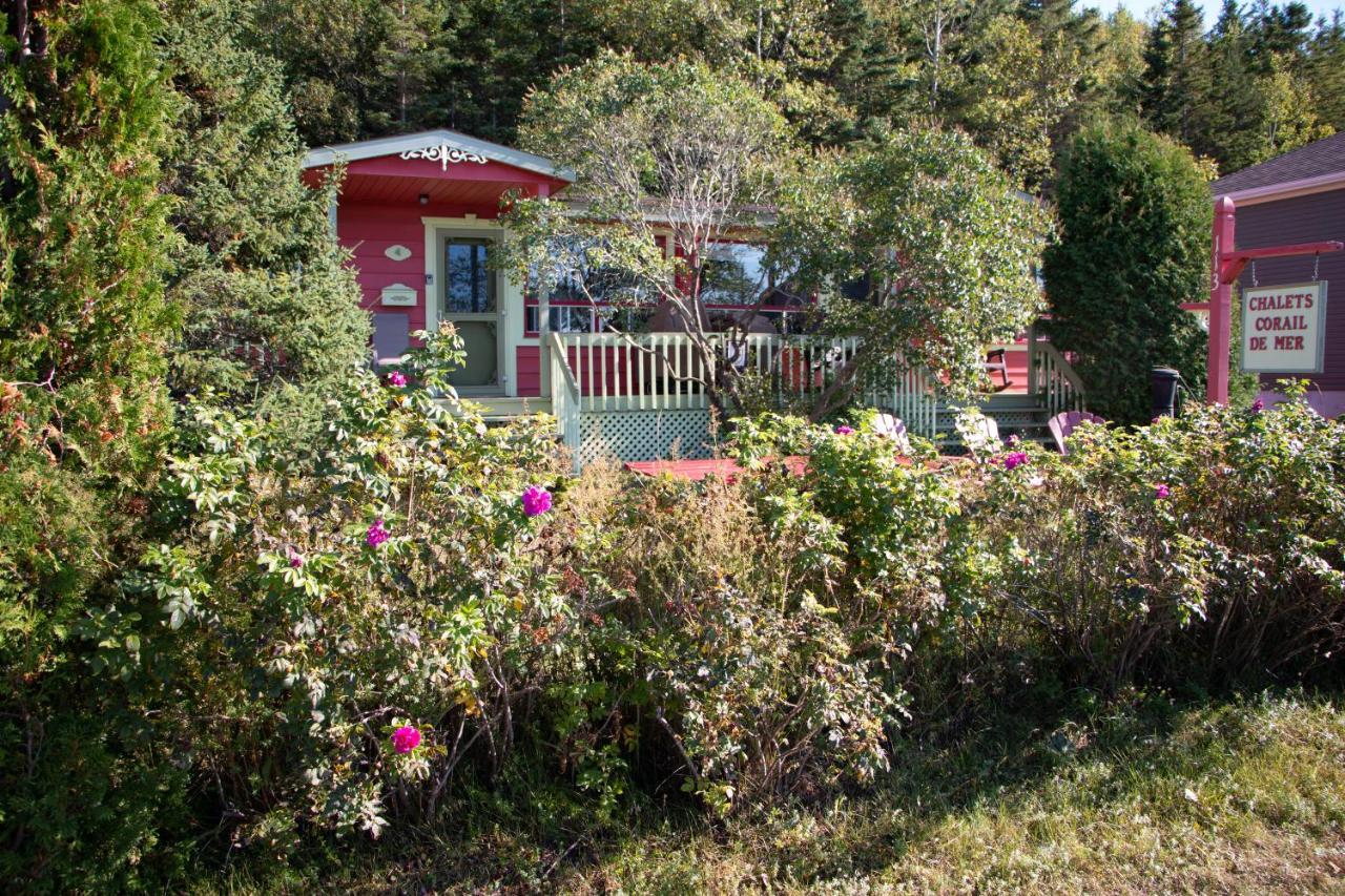 Corail De App 3 A Juste 2 Min De La Holiday home *